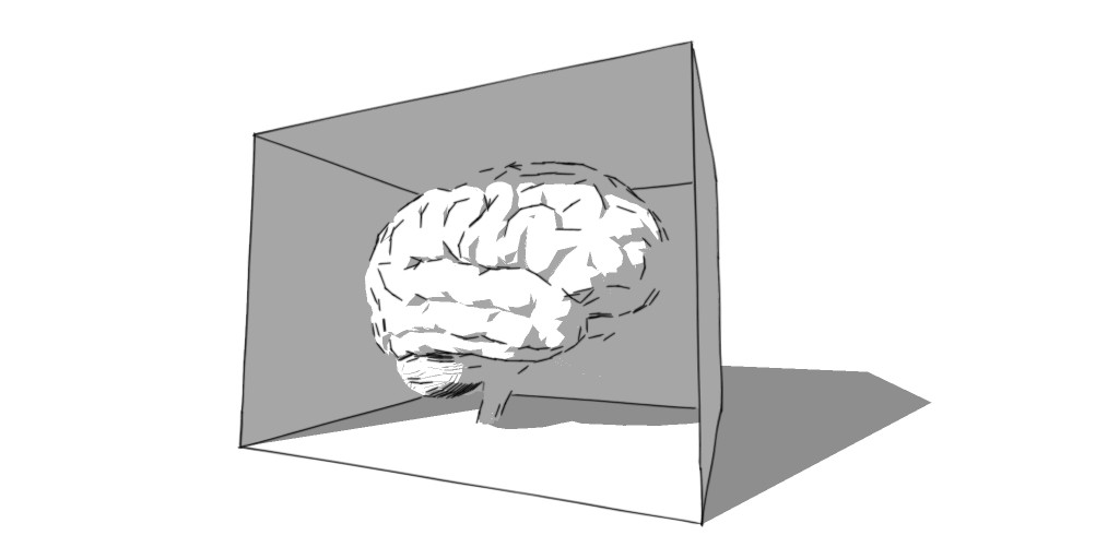 Brain in Box